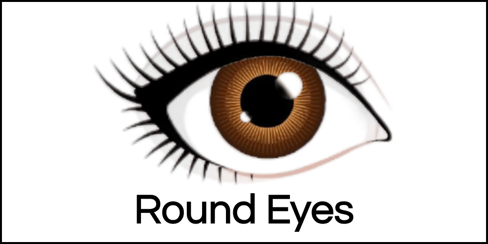 Best False Eyelashes for Round Eyes | Nikkia Joy Cosmetics